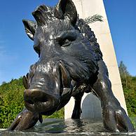 Everzwijn van het Nationaal monument van de Ardense Jagers te Martelange, Ardennen, België
